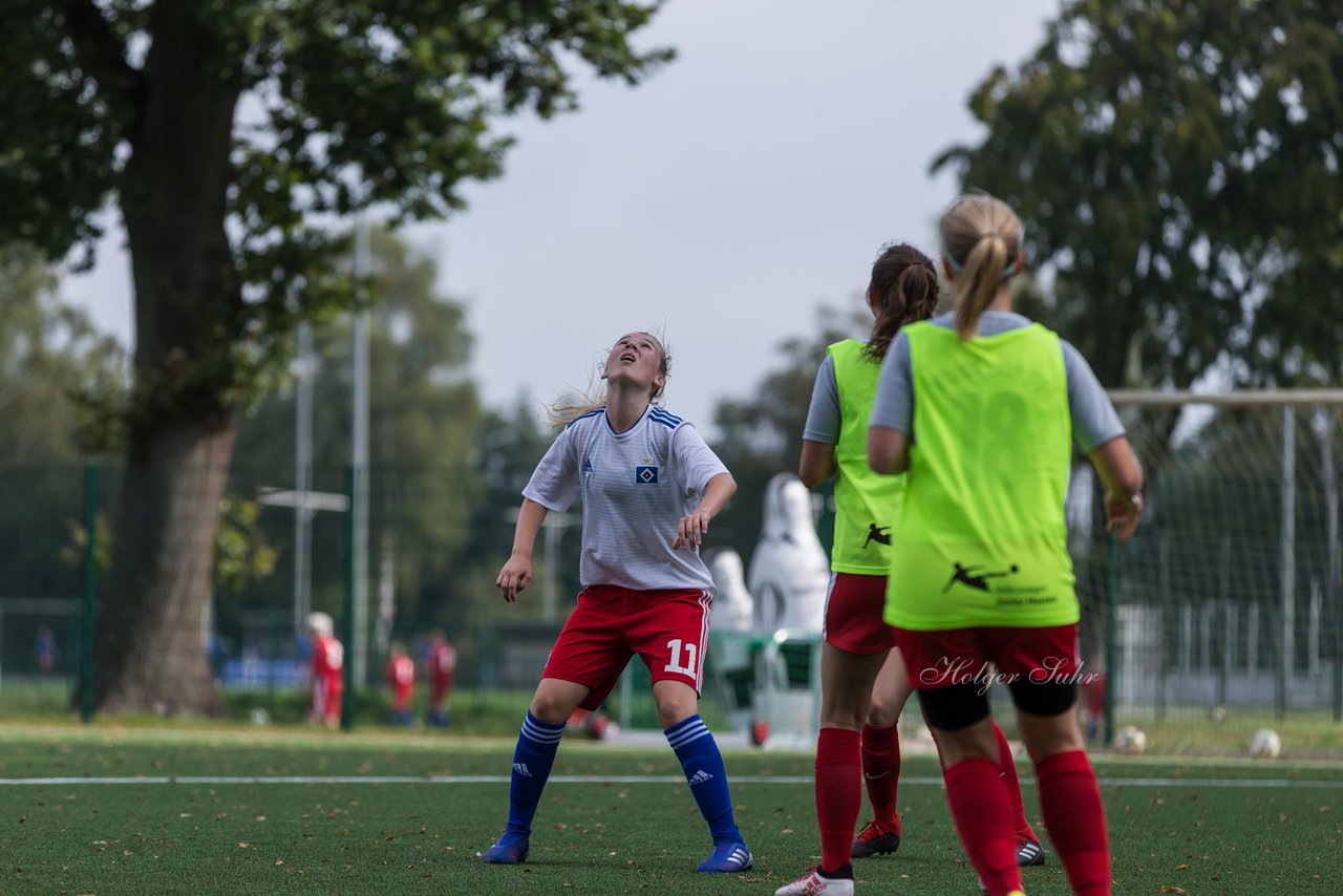 Bild 312 - C-Juniorinnen HSV - Walddoerfer : Ergebnis: 9:1